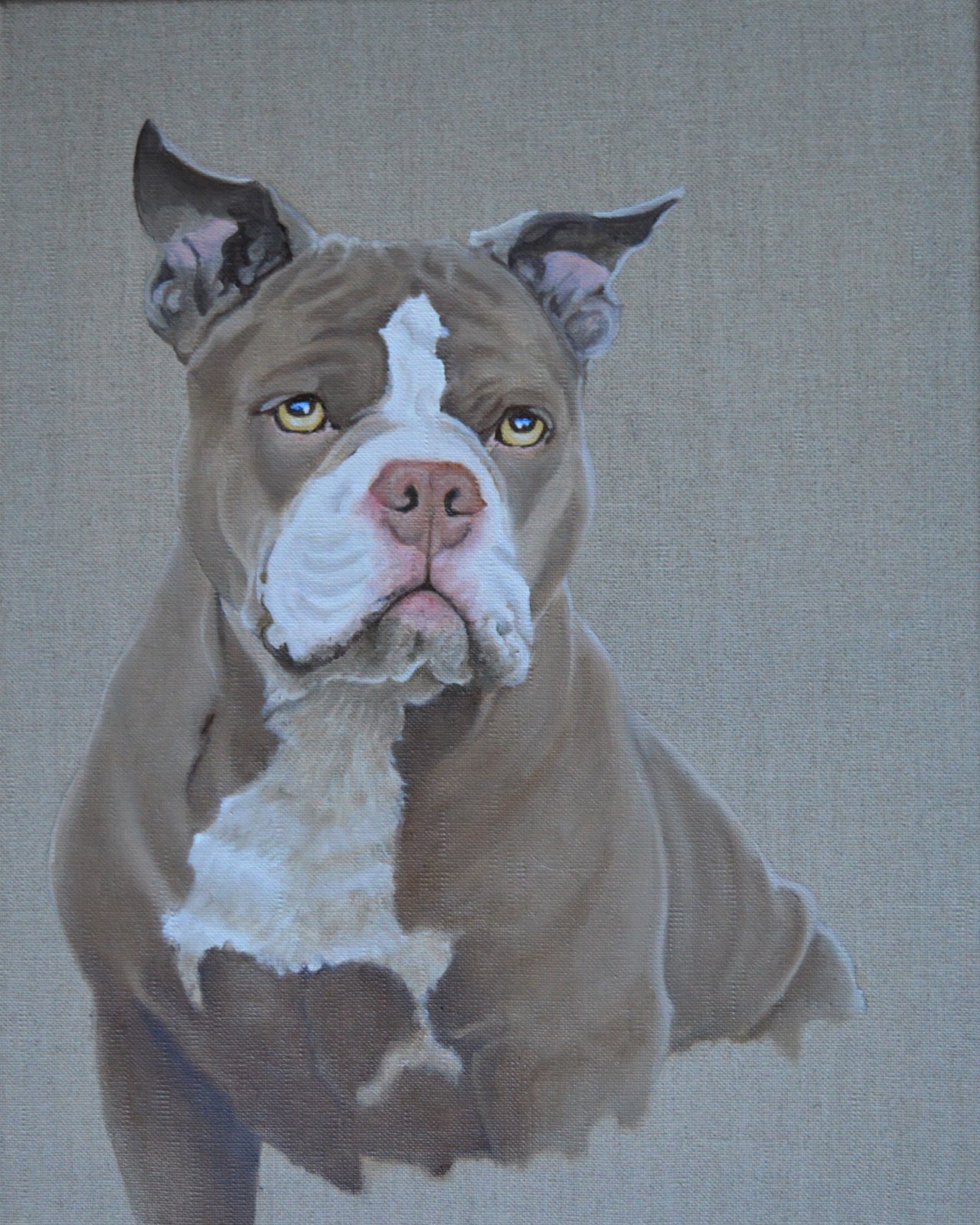 Bulldog